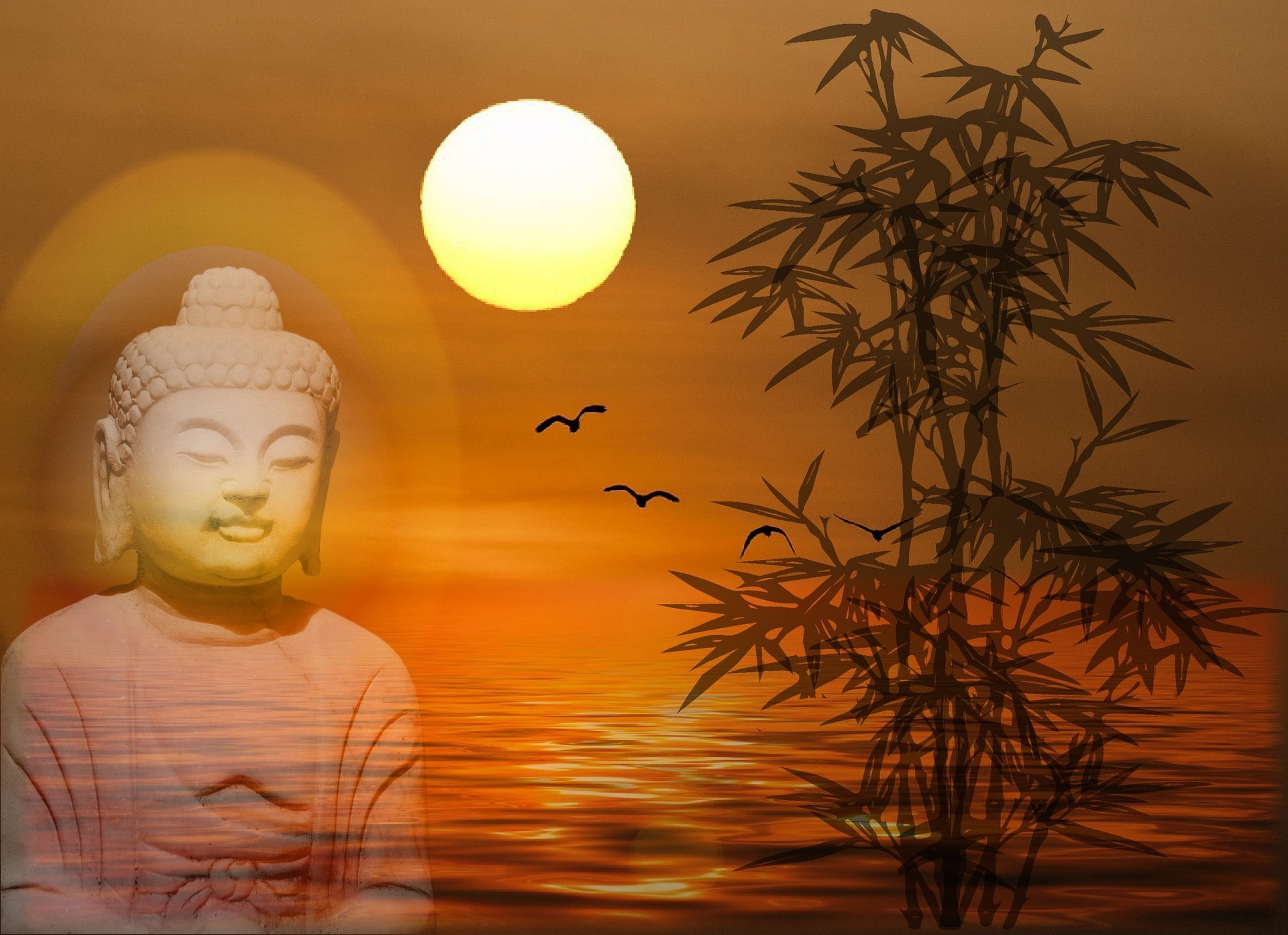 “Ageless Wisdom Category – Introduction”
