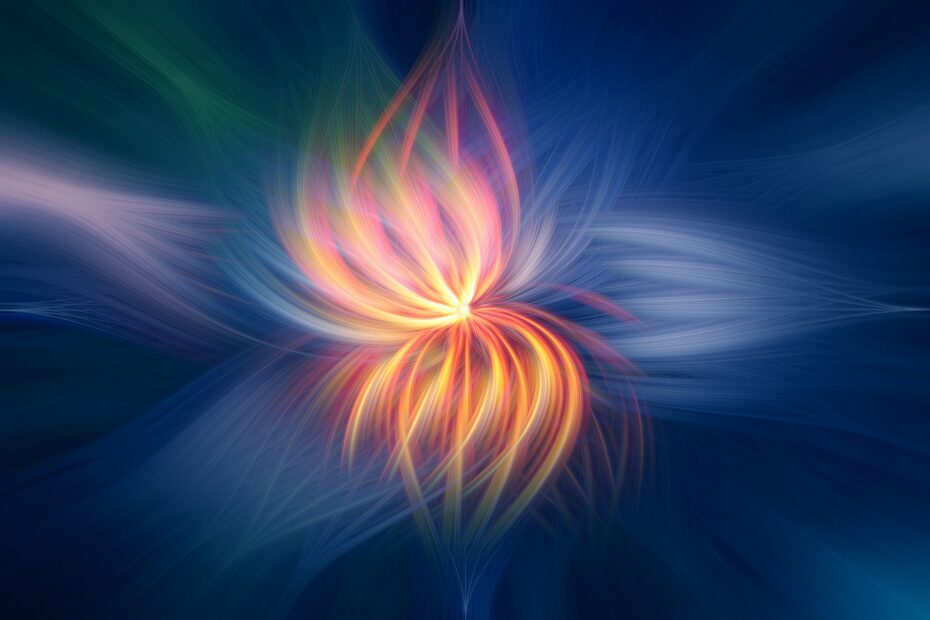Flower 2536651 1920