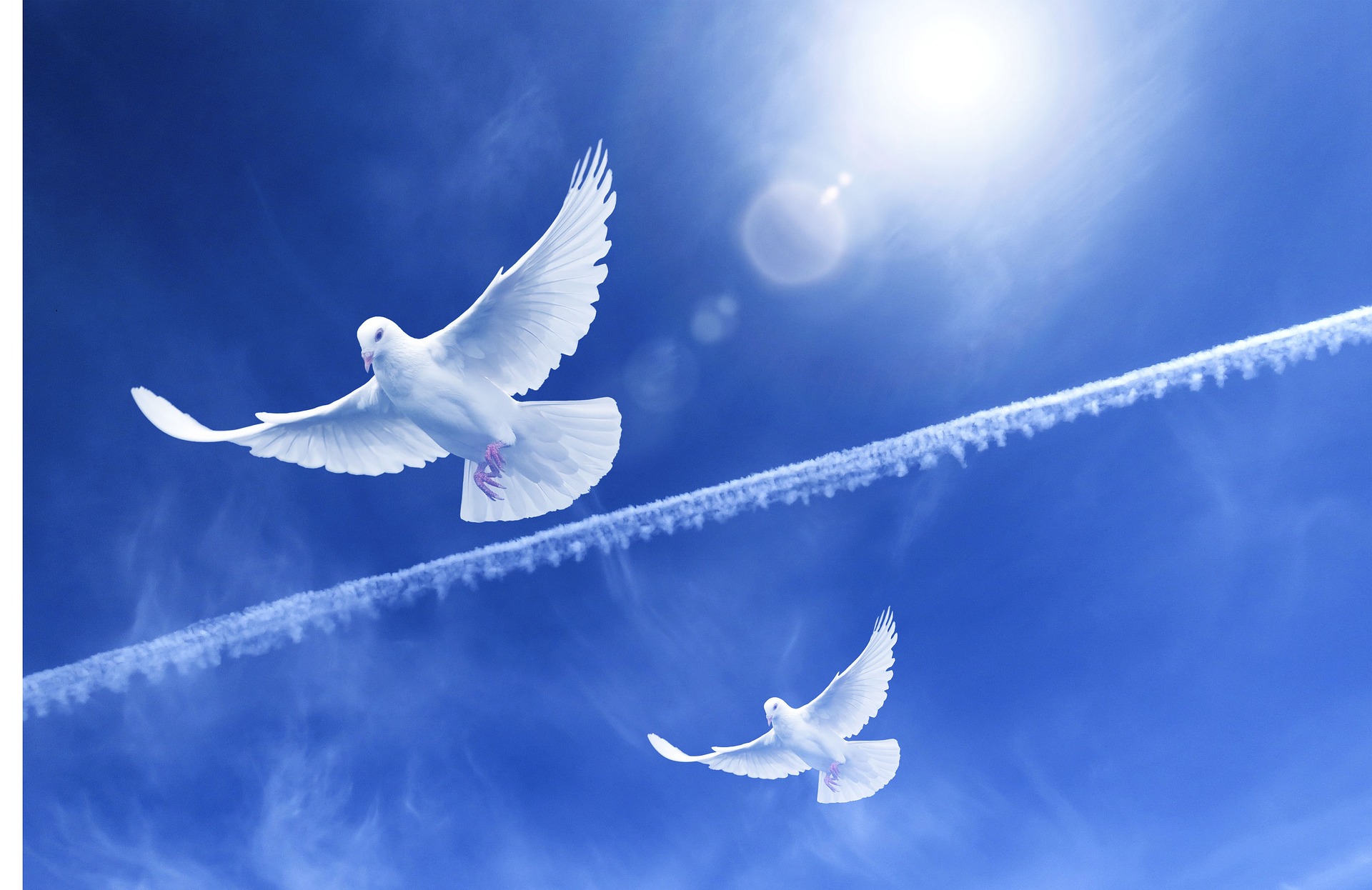 “The Winged-Ones Bring Peace and Goodwill”