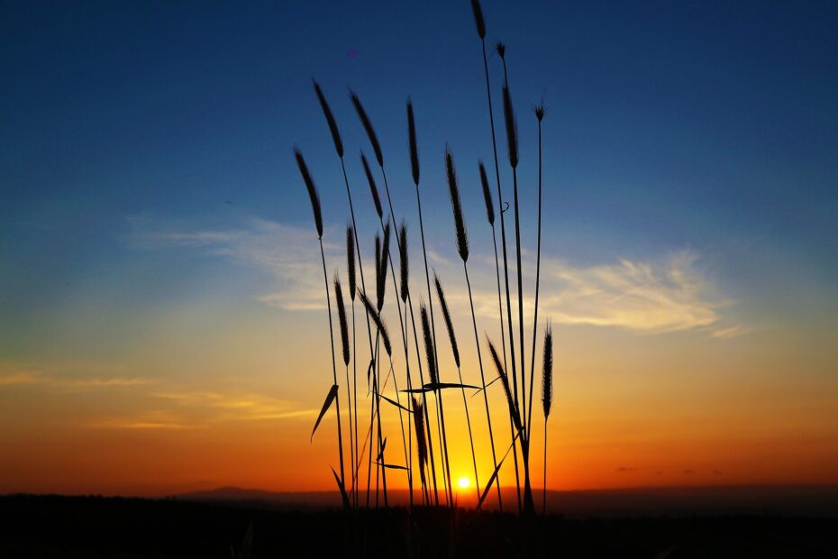 Sunset G56c81126f 1920